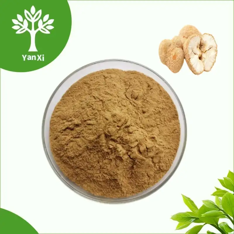 Lion's Mane Mushroom Extract Powder Lion's Mane Mushroom Extract Powder